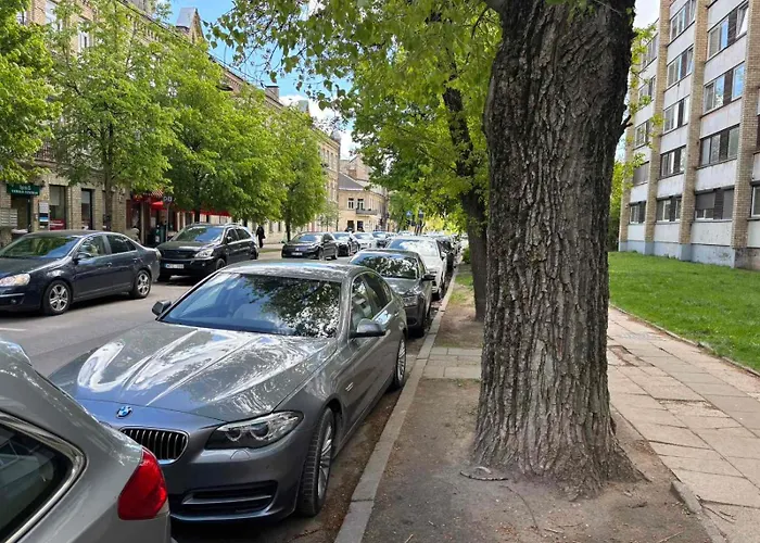 Rr Apartments In Algirdo Street